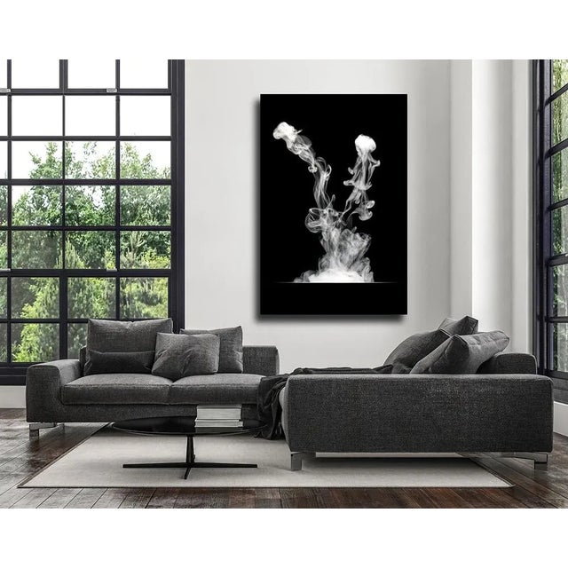 “Inspired by the classic horror movies of the 1950's, I employed an assortment of homemade devices, to manipulate smoke,...