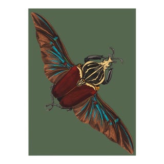 Bugs by Seguy #22 For Sale