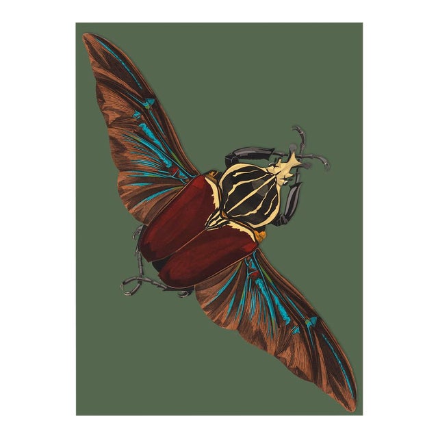 Bugs by Seguy #22 For Sale