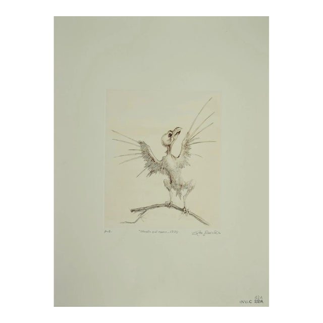 Leo Guida, Bird on A Branch, Etching, 1970 For Sale