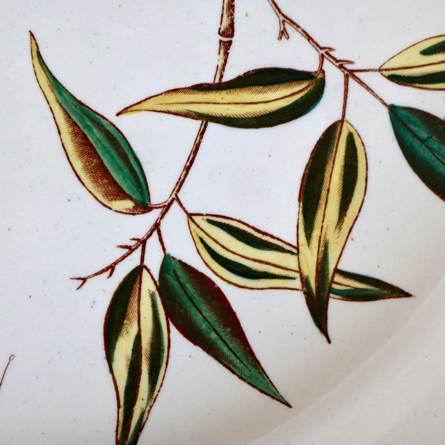 Traditional 1881 Antique j.f. Wileman Staffordshire "Swallow" Polychrome Transferware Oval Platter - 16.25" For Sale - Image 3 of 11