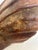 Wood Monumental Carved Wood Antique Rooster or Hen in a Nest Centerpiece For Sale - Image 7 of 16