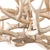 2020s Waylon Antler Chandelier For Sale - Image 5 of 8