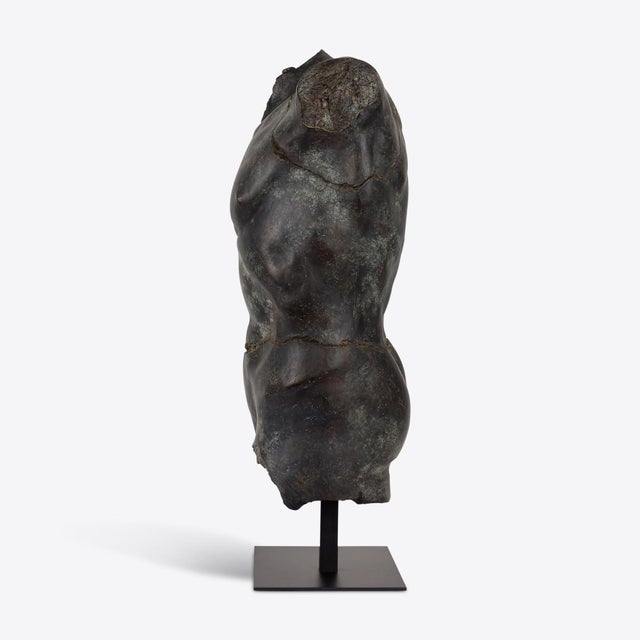Early 21st Century Large Bronze Maximillian Torso from Pure White Lines For Sale - Image 5 of 12