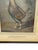 Ralph Lauren Antique Pair of English Game Bird Sporting Hand Colored Engravings in Ebonized Frames For Sale - Image 4 of 18