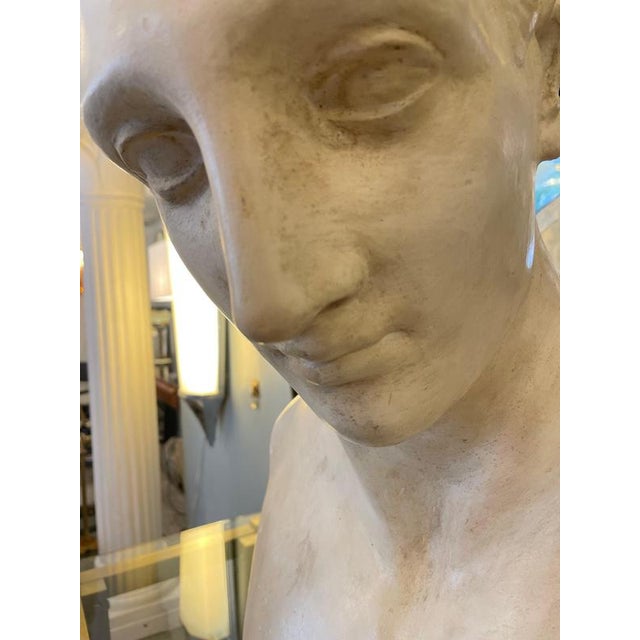 Unknwon, Plaster Bust of the God Hermes, 1900, Gesso For Sale - Image 9 of 18