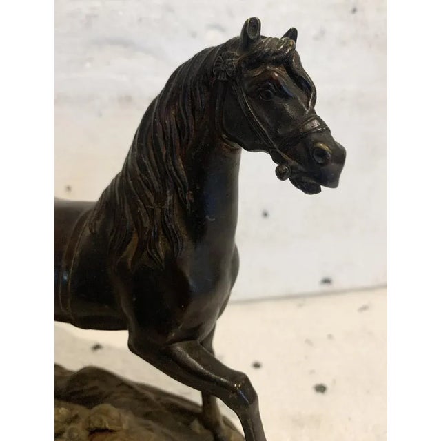 Bronze Horse with Brown Patina on Base, 20th Century For Sale - Image 4 of 12