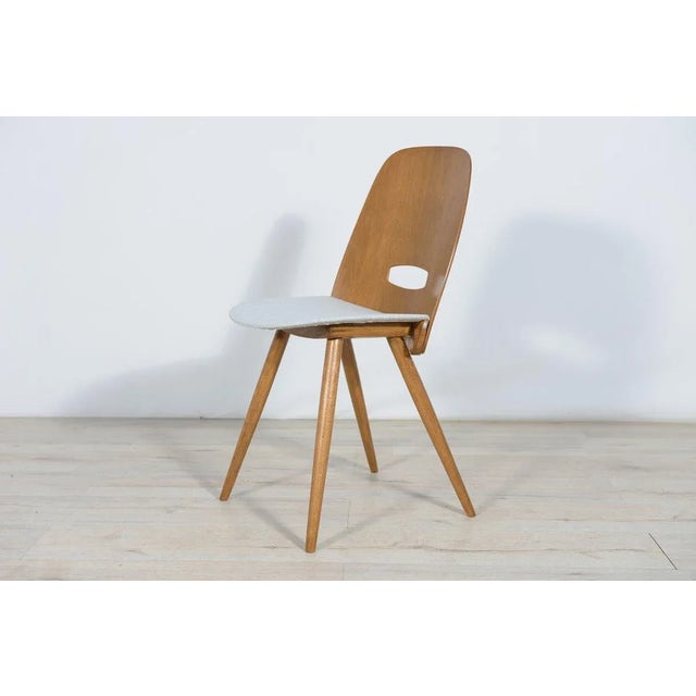 Gray Lollipop Chairs by František Jirák for Tatra, 1960s, Set of 4 For Sale - Image 8 of 12