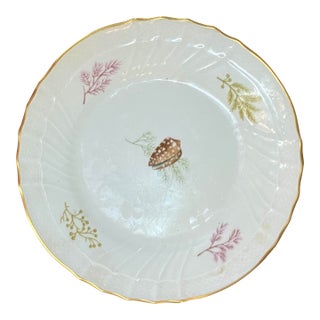 Richard Ginori Shells Pattern Bread & Butter Plate For Sale
