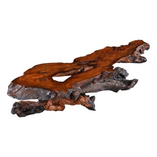 Nakashima Style Live Edge Redwood Burl Root Stump Slab Coffee Table For Sale
