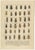Calwer, Beetles, Chromolithographs, 1893, Set of 8 For Sale - Image 9 of 11