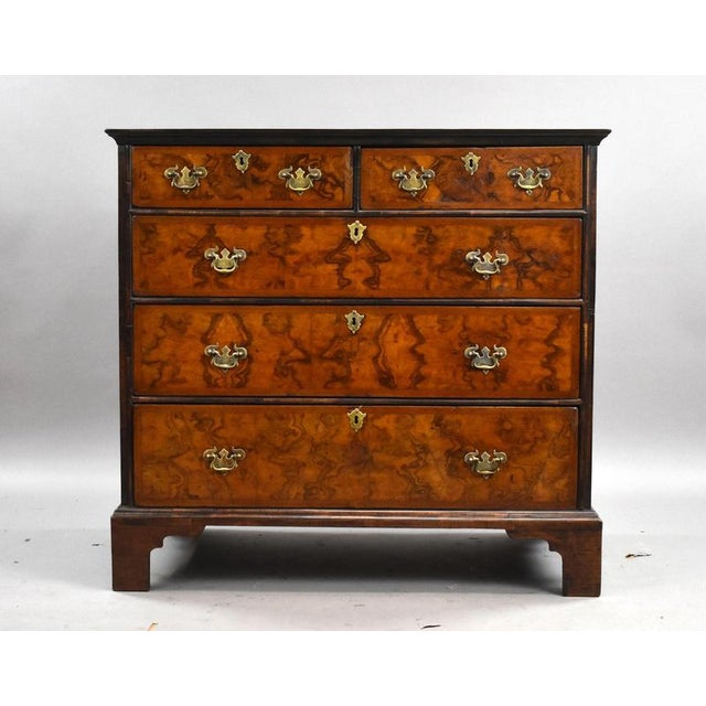 A handsome antique George III burr walnut chest of drawers, displaying excellent colour, rich figuring and classic...