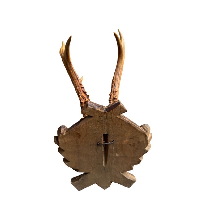 1900 - 1909 Roe Deer Trophny 107 Black Forest Antlers For Sale - Image 5 of 5