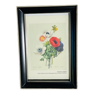 1970s Mini Chromolithograph P.F.Redoute Bouquet Anemones in Black Frame For Sale