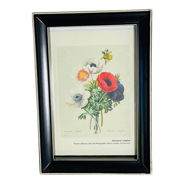 1970s Mini Chromolithograph P.F.Redoute Bouquet Anemones in Black Frame For Sale