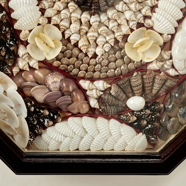 Brown Vintage Sailors Valentine For Sale - Image 8 of 9