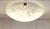 Silver Vintage Ceiling Lamp with White Frosted Glass Shade and Floral Decor by Honsel, 2000s For Sale - Image 8 of 8