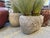 Late 20th Century Vintage Stone Carved Planter Pot For Sale - Image 5 of 6