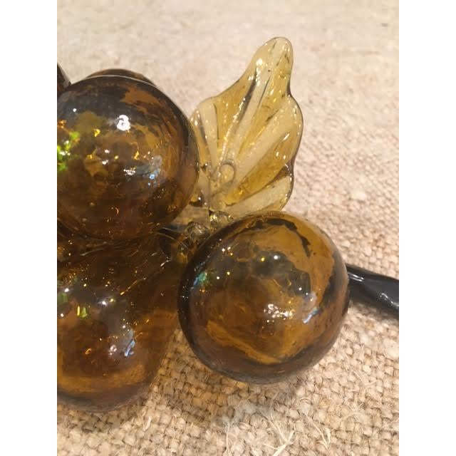 Mid 20th Century Amber Murano Style Glass Grape Cluster For Sale - Image 5 of 8
