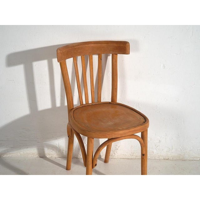 Wood Bistro Chairs from Thonet, 1920s, Set of 6 For Sale - Image 7 of 13