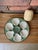 1930s French Longchamp Green and White Majolica Oyster Plate For Sale - Image 13 of 14