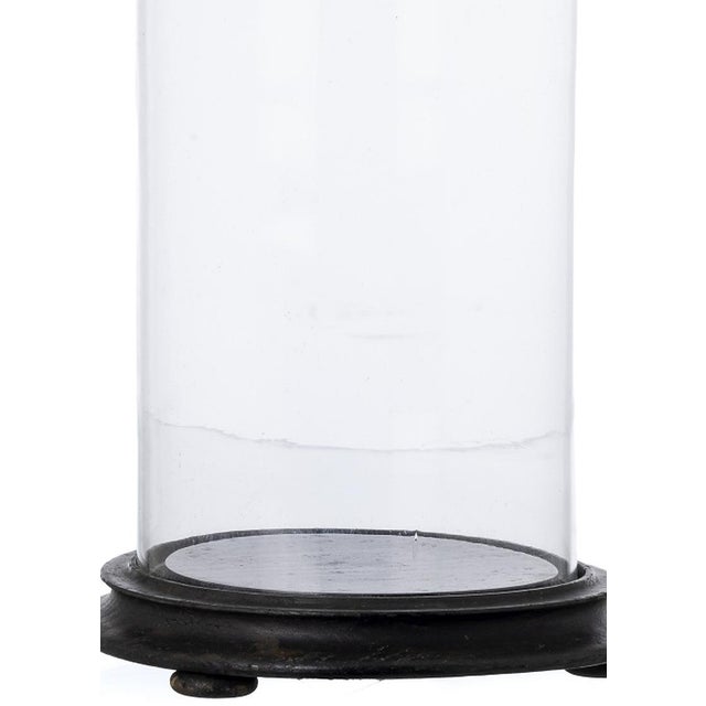 Crystal and glass - Glass dome - 19th century. Portuguese; 19th century; with chestnut wood base. Height: 40 cm.