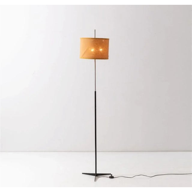 Metal Telescopic Floor Lamp by Angelo Ostuni for Oluce, 1960s For Sale - Image 7 of 7