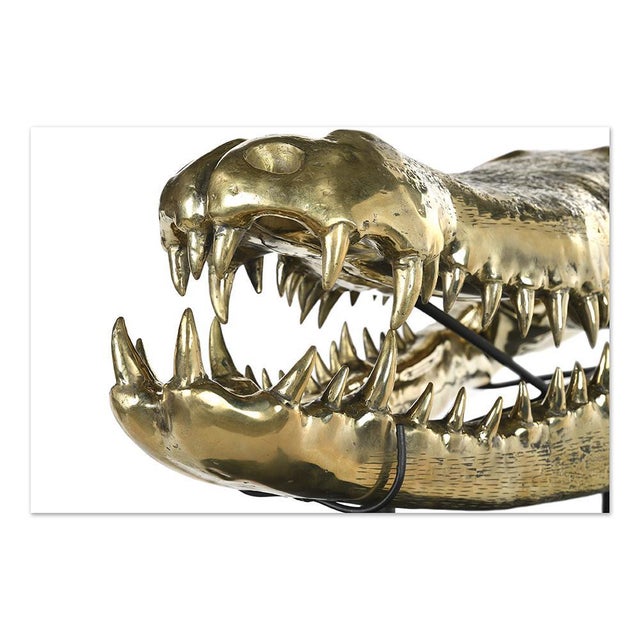 Brass Crocodile Skull For Sale - Image 4 of 9