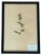 1965 French Herbarium Botanical Specimens – Set of 9 Custom Framed Pressed Botanicals For Sale - Image 10 of 17
