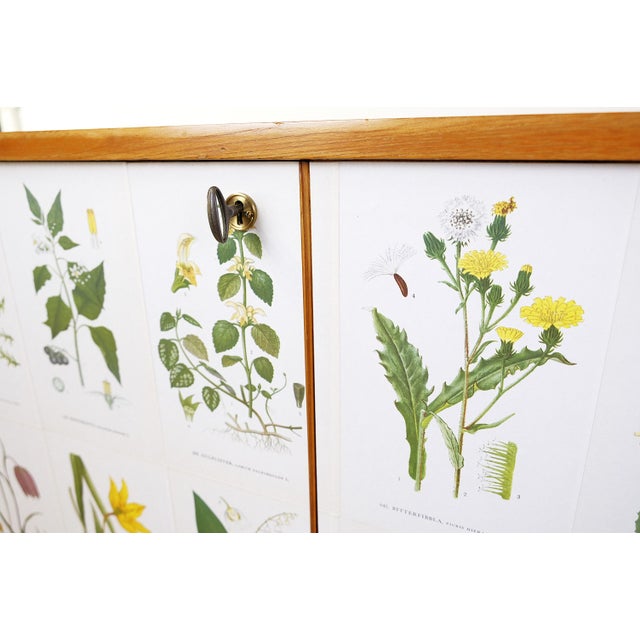 Swedish Modern Sideboard with Illustrations Nordens Flora by C.A.M Lindman, 1930s For Sale - Image 9 of 10