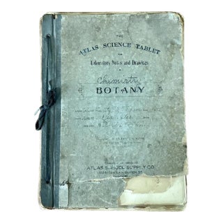 Antique Botany Herbarium: 1900s Lab Notes & Drawings - Columbia City High School For Sale