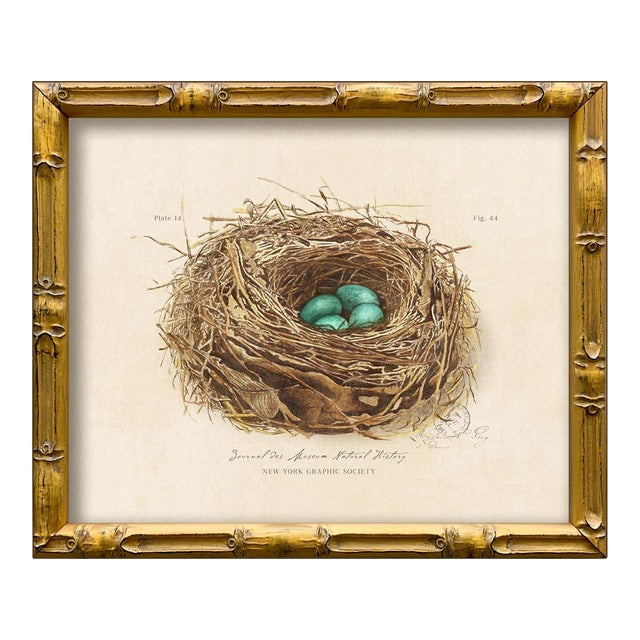 Contemporary Reproduction of Vintage "Garden Friends" Art Print (5), Framed Bird Nest For Sale