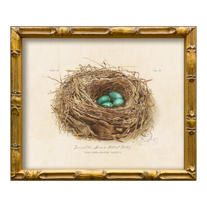 Contemporary Reproduction of Vintage "Garden Friends" Art Print (5), Framed Bird Nest
