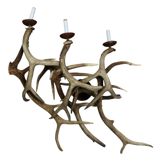 Antler Wall Sconces, Three-Light - A Pair For Sale