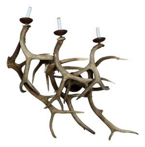Antler Wall Sconces, Three-Light - A Pair