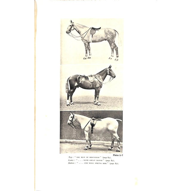 "To Hunt the Fox" Brock, David m.f.h For Sale In New York - Image 6 of 10