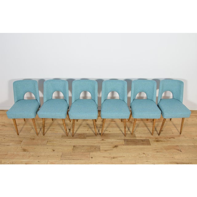 Shell Chairs from Bydgoszcz Furniture Factory, Poland, 1960s, Set of 6 For Sale - Image 4 of 17