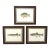 Set of 3 Original Antique Denton Framed Fish Prints C. 1900 For Sale