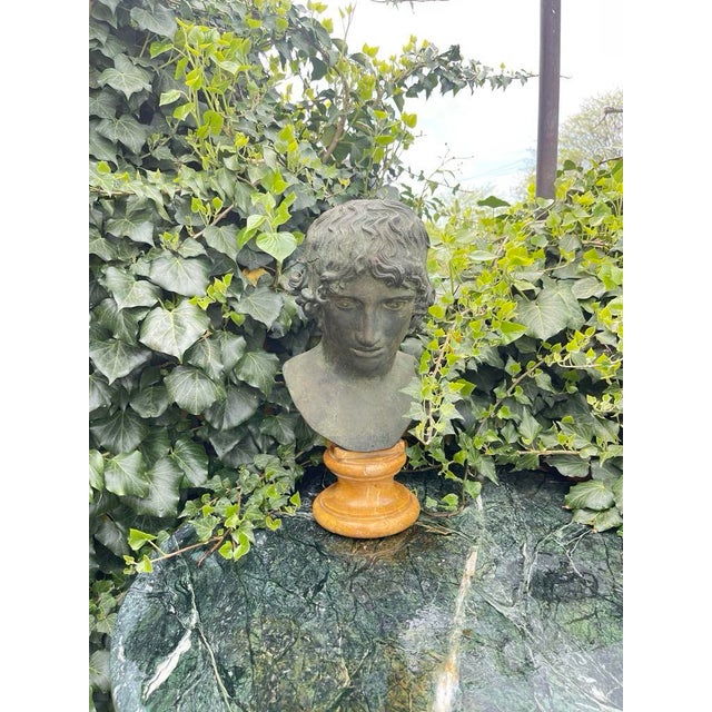 Grand Tour Bronze and Marble Bust of a Youth For Sale - Image 4 of 12