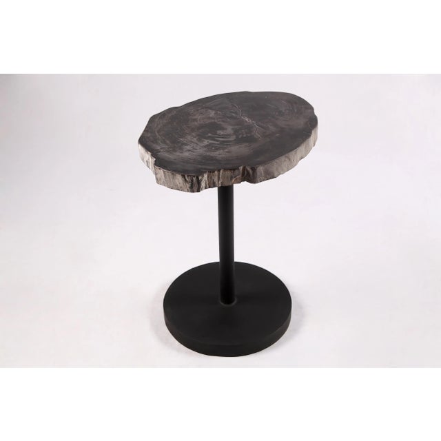 The top of this modern accent side table is made of one slice of organic petrified wood, hand polished to show its...