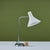 Mid-Century Modern Greta Von Nessen Desk Lamp for Nessen Studios For Sale - Image 3 of 13