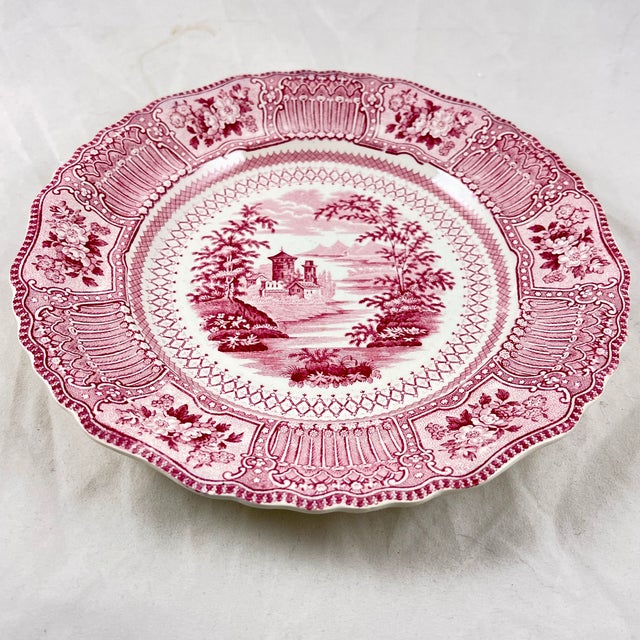 Ralph Stevenson Pink English Transferware Dinner Plates, Cologne Pattern, Set of 8 For Sale In Philadelphia - Image 6 of 13