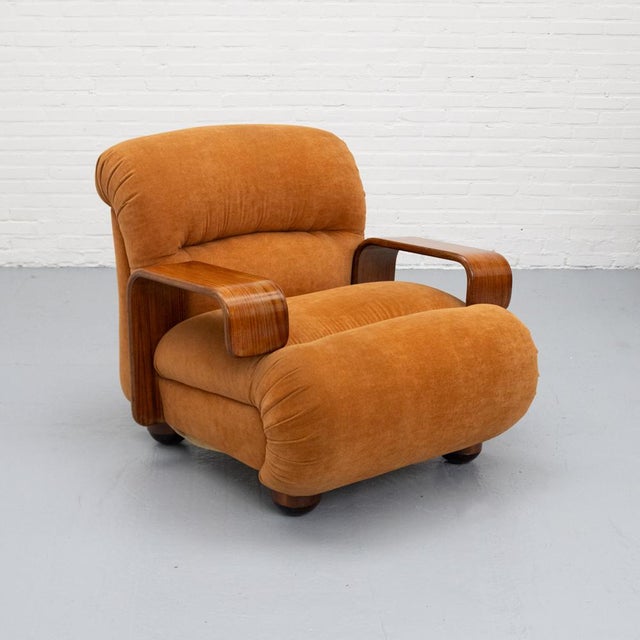 Vintage Italian Chair in Chenille, 1970s For Sale - Image 18 of 18