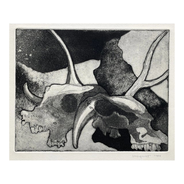 1984 Lindquist Cow Skull Etching For Sale