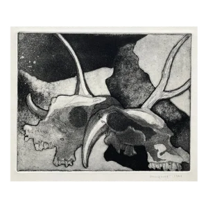 1984 Lindquist Cow Skull Etching