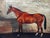 Fine British Work of Art — Antique Oil on Canvas In the manner of Sir Alfred Munnings (1878–1959) Equine Portrait: “The...