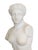 Vintage Aphrodite Venus De Milo Greek Sculpture For Sale - Image 11 of 13