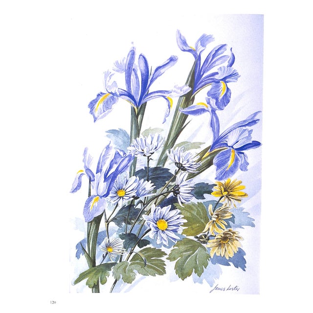 "A History and Dictionary of British Flower Painters 1650-1950" 2006 Walpole, Josephine For Sale In New York - Image 6 of 11