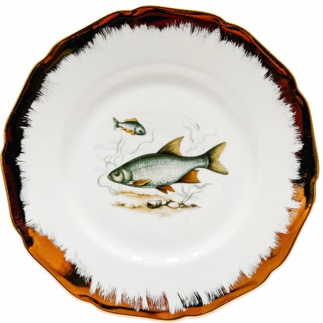 Mid-Century Modern Vintage German Porcelain Fish Service Set – 6 Dinner Plates & Large Platter by Hutschenreuther Hohenberg For Sale - Image 3 of 7