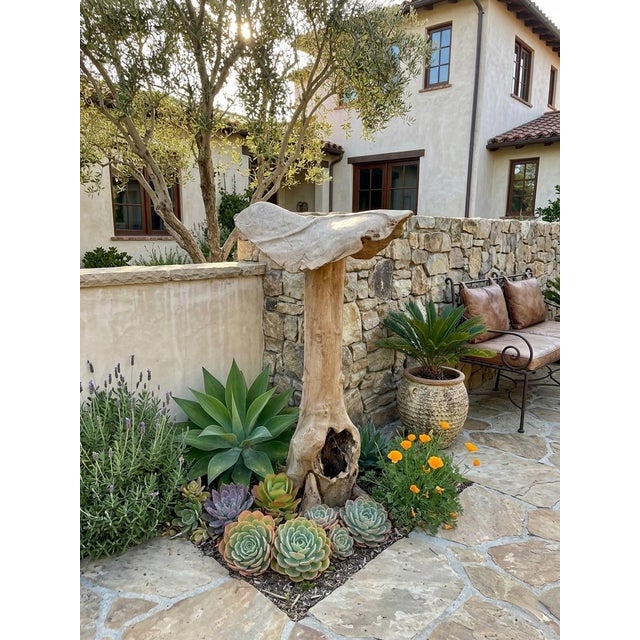 Wood Artisanal Hand-Carved Teak Root Mushroom Sculpture For Sale - Image 7 of 12